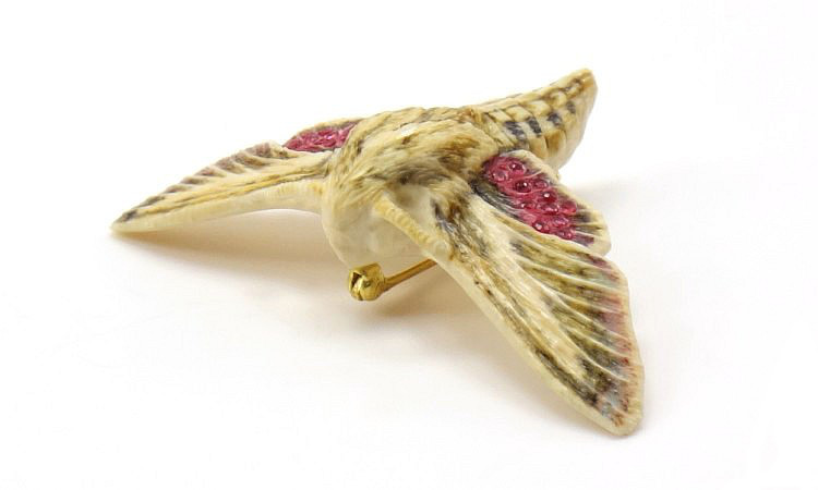 Ivory Sphinx Moth