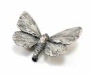 Silver Adonis Butterfly