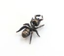Carpenter Ant Lapel Pin