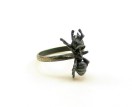 Carpenter Ant Ring