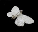 Silver Cabbage White Brooch