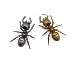 The HEXAPODA Collection - Carpenter Ant Lapel Pin