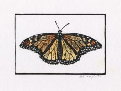 The HEXAPODA Collection - Monarch Butterfly Wood Block Print