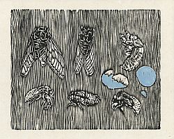 Cicadae & Robin's Egg Wood Block Print
