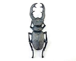 Stag Beetle Brooch - Silver